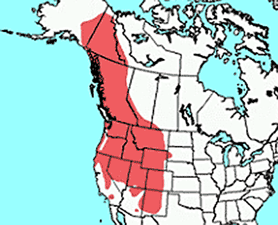 Distribution Map of the Long-tailed Vole