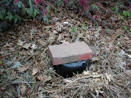 vole bait station