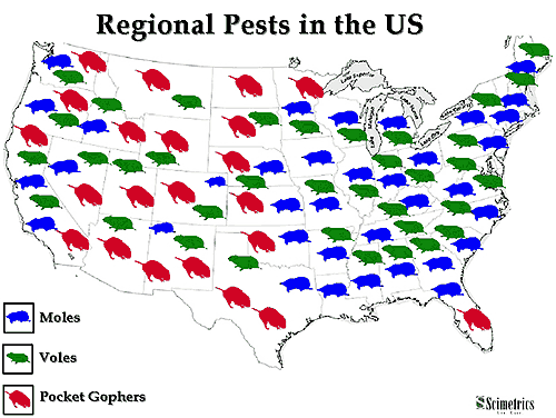 Map of Regional Pests in the US